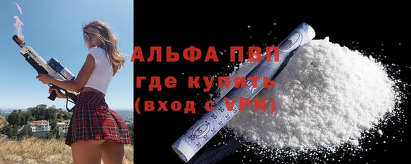 стафф Осташков